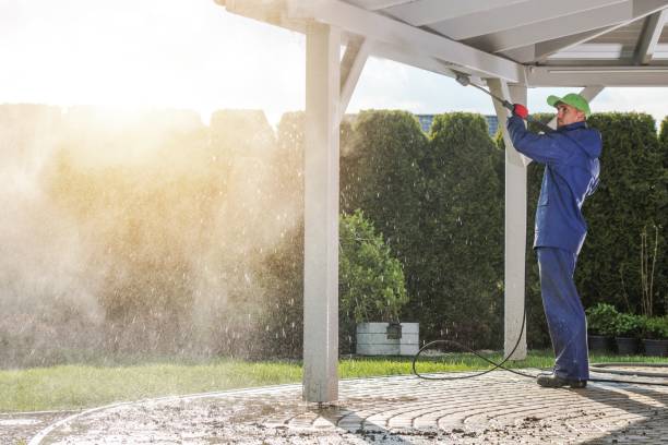 Best Animal Enclosure Cleaning  in Point Baker, FL