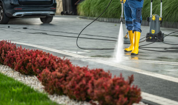 Best Sidewalk and Walkway Cleaning  in Point Baker, FL